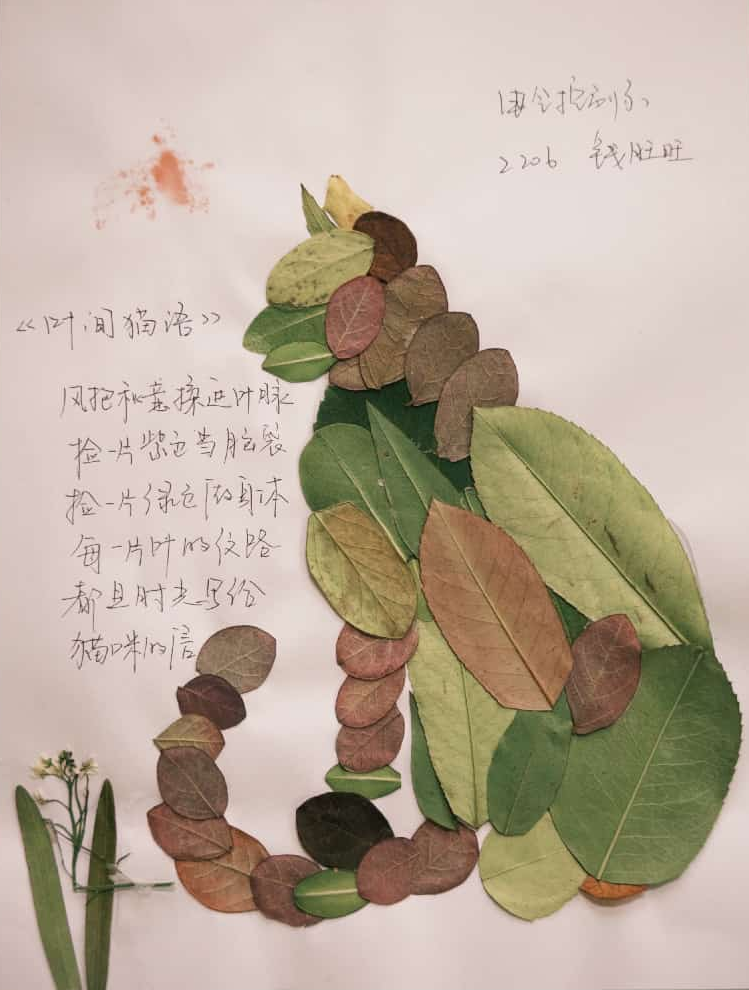 69c0a50f4478f.png