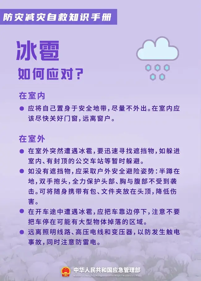 6a00461fd4ef3.png