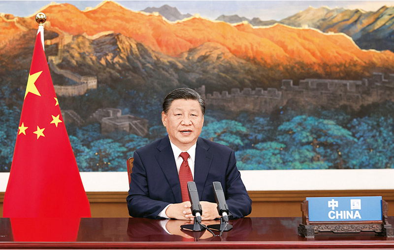 68f095ed30c1f.jpeg 68f095ed30c1f.jpeg