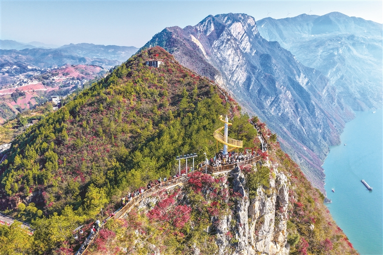 6966e0e3848e2.jpeg 6966e0e3848e2.jpeg