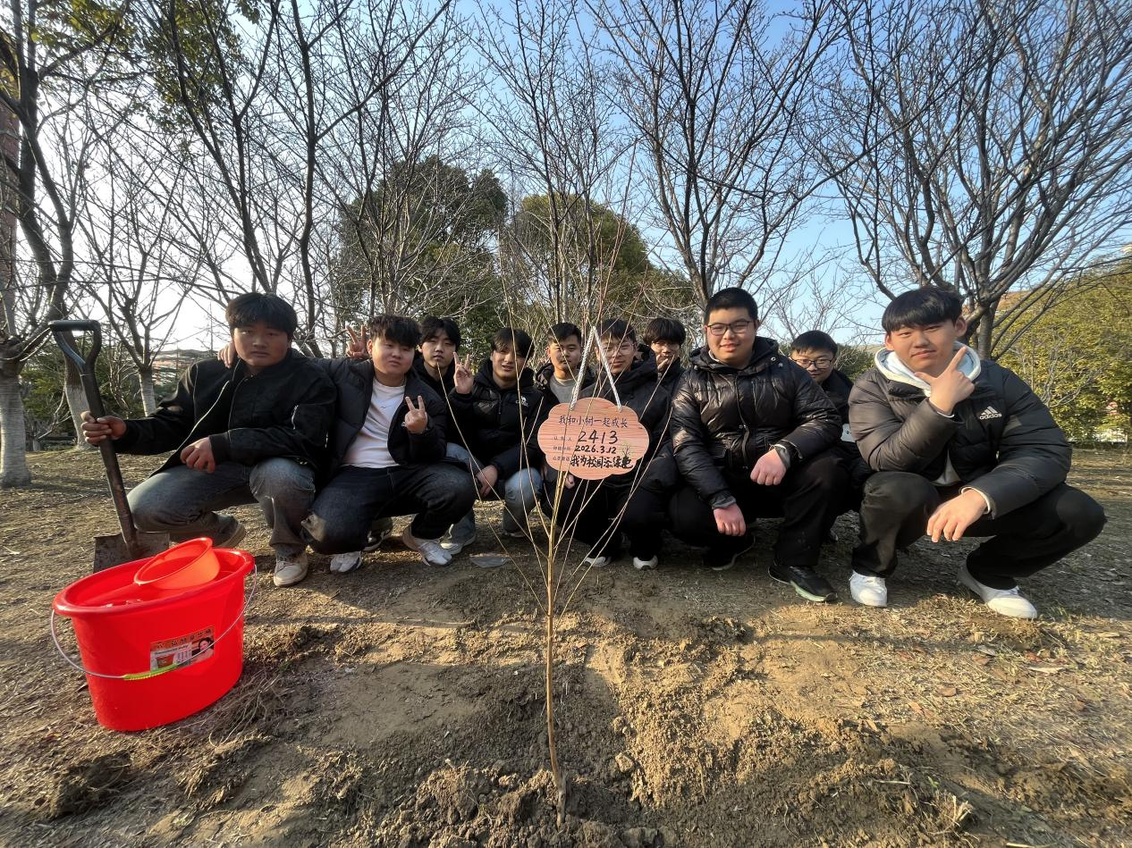 69b7ccf005337.png 69b7ccf005337.png